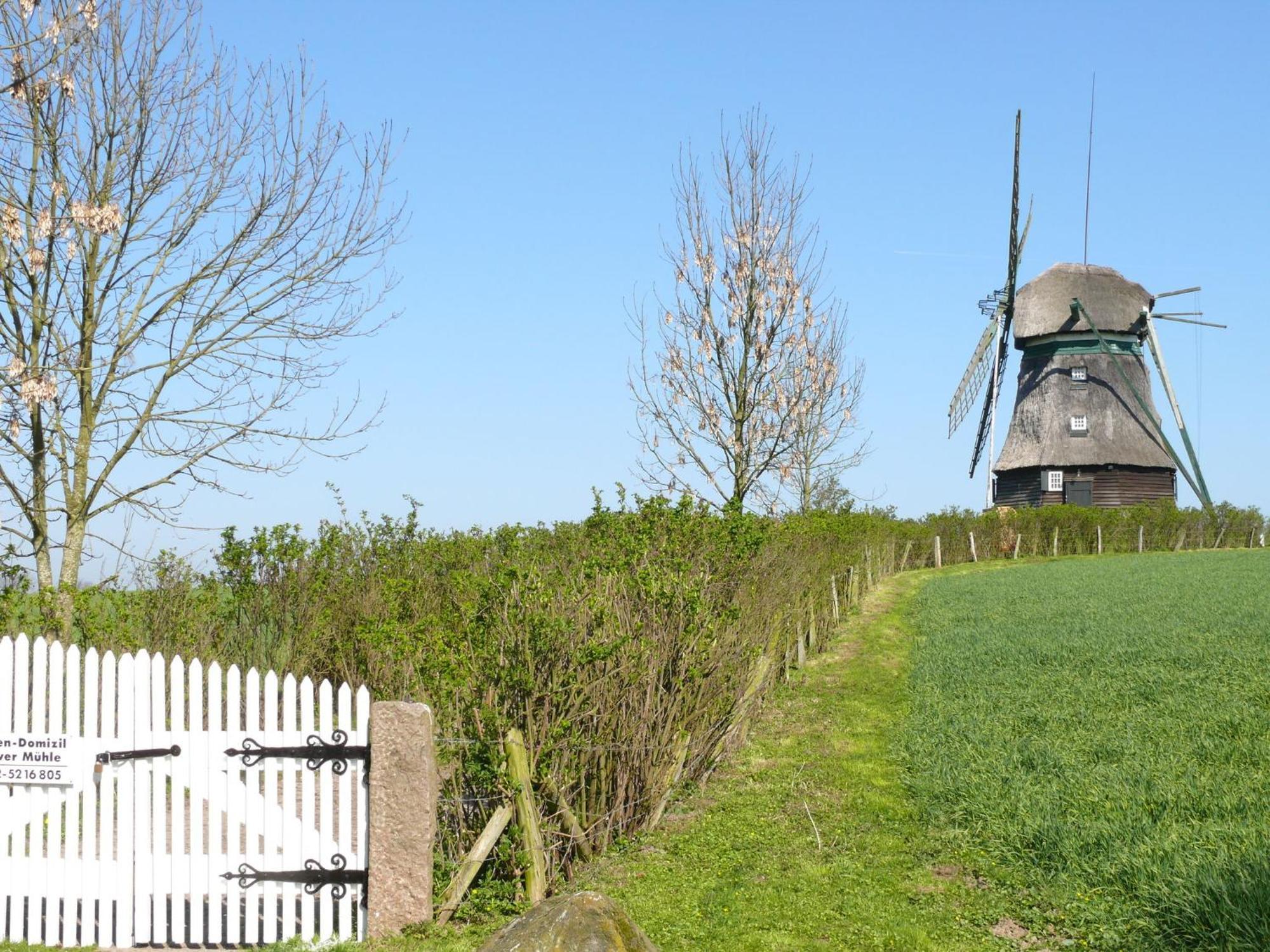 Beautiful Authentic Mill Close To The Beach Wangels 외부 사진