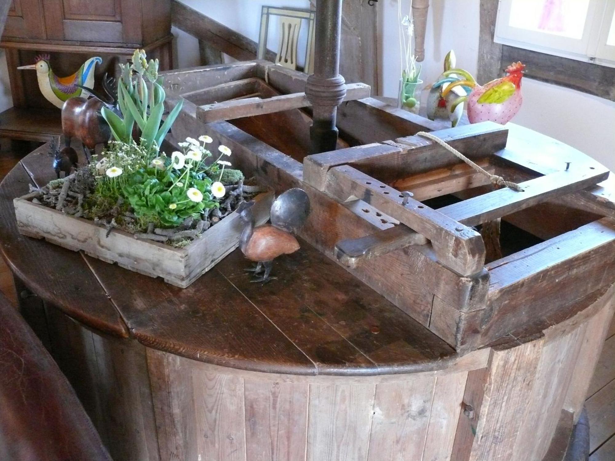 Beautiful Authentic Mill Close To The Beach Wangels 외부 사진